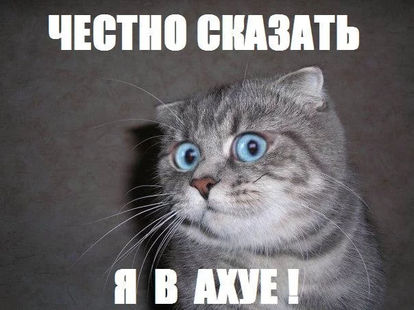 101708679_335573.webp