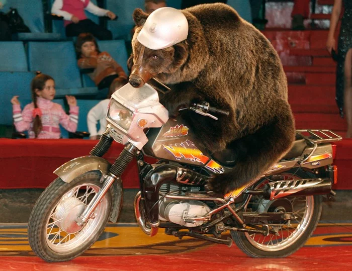 102352240_clip_image008.webp