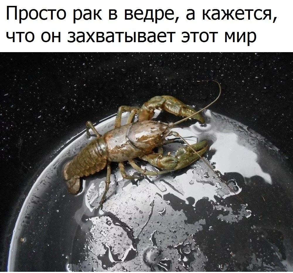 102432.webp