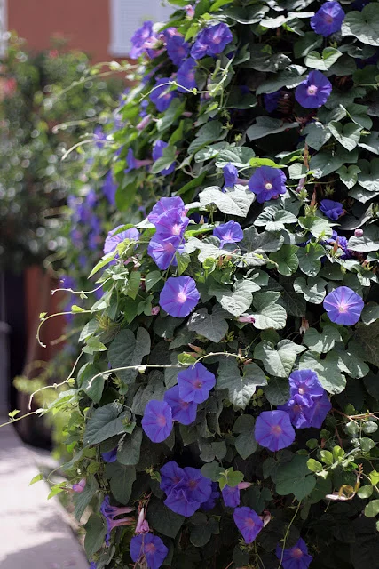 1024_IMG_5327.webp