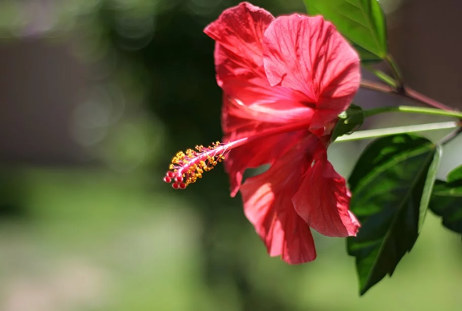 1024_IMG_5869.webp