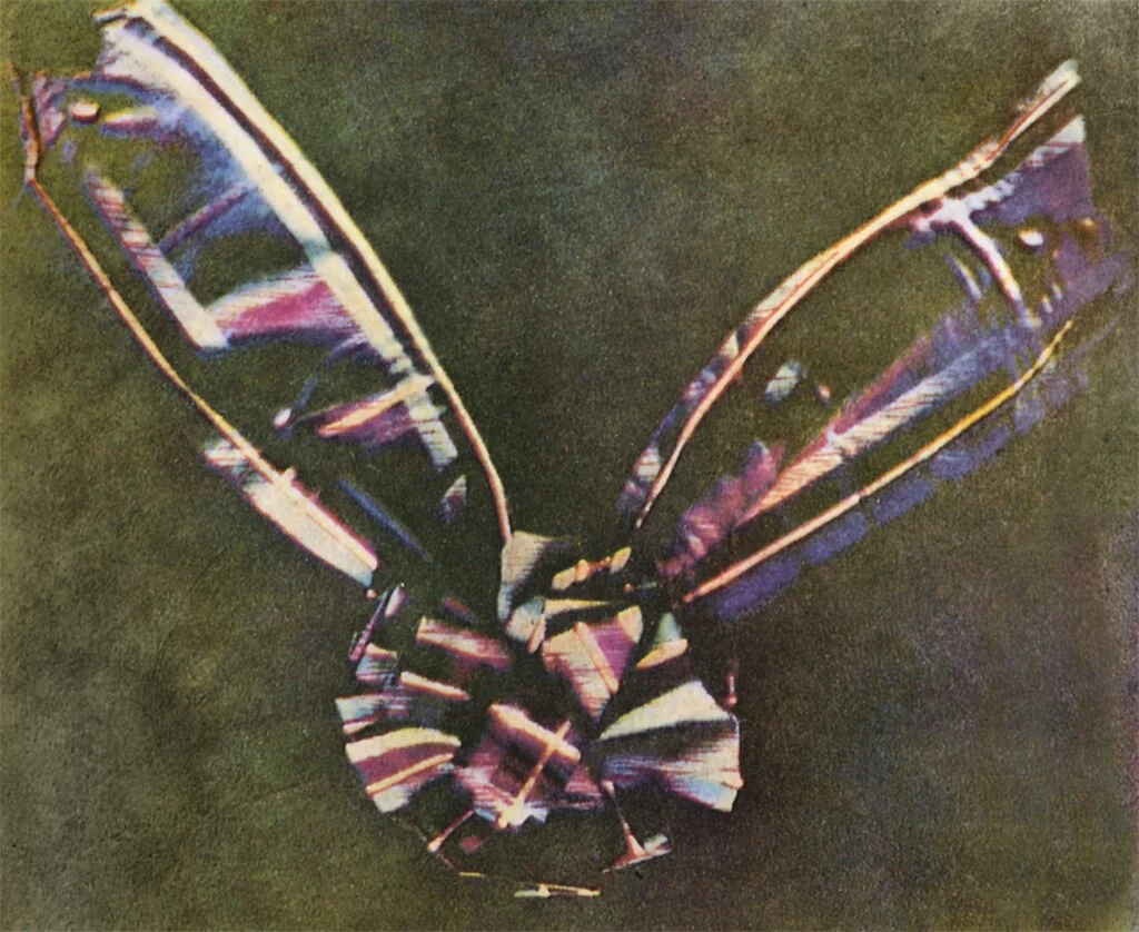 1024px-Tartan_Ribbon.webp