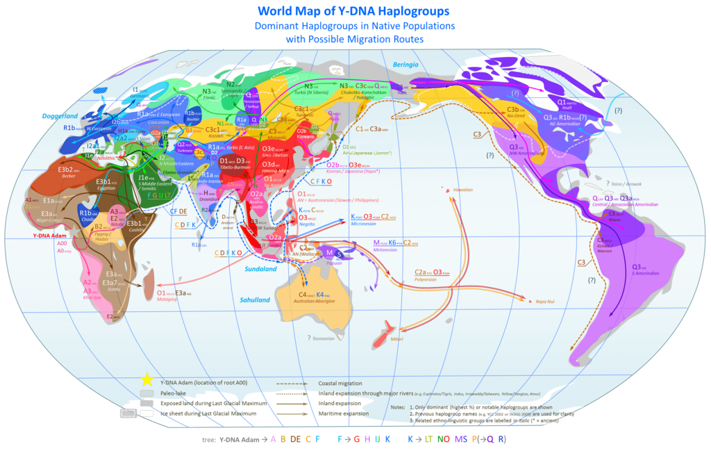 1024px-World_Map_of_Y-DNA_Haplogroups.png