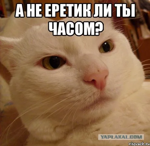 10315098.webp