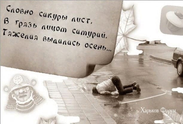 103415d3a18566899bbe94a5.jpg