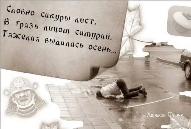 103415d3a18566899bbe94a5.webp