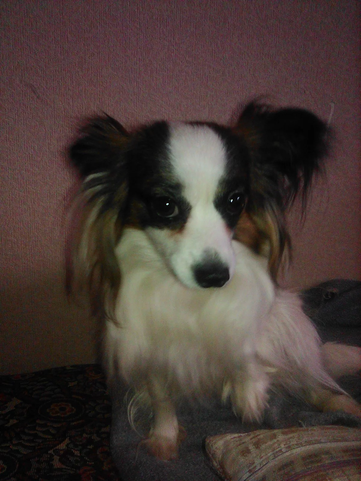 1039433d1b3a0bbd0cbc9da0aa18f3a7.webp