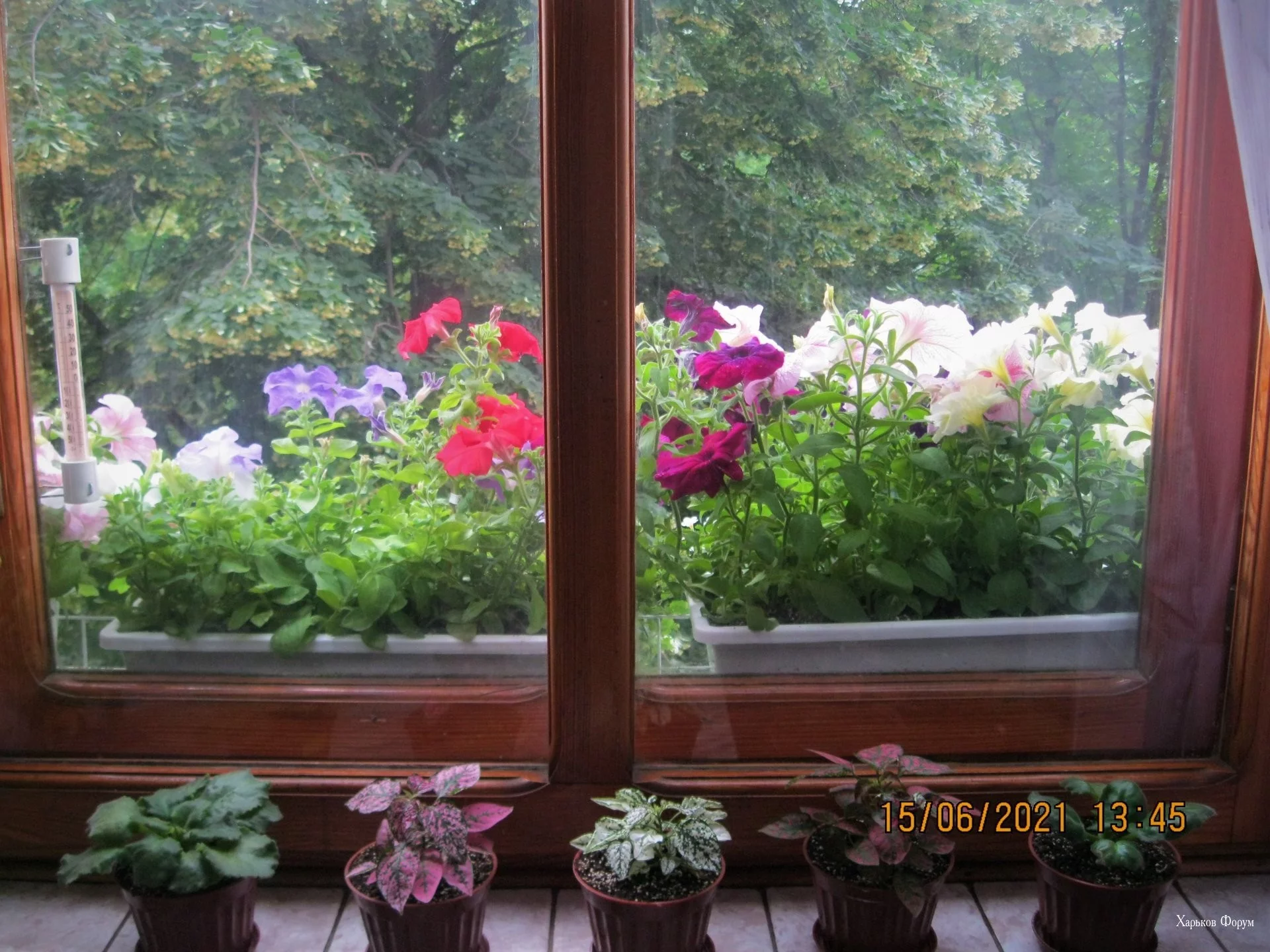 103c1a79e9225ec9931.webp