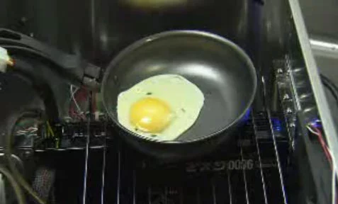 104408-Fried-egg.webp