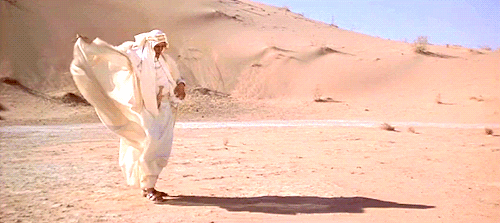 10443bd7993deda8bc78a0.gif