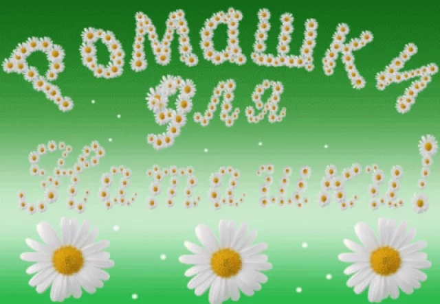 104818781_large_romaschki.webp