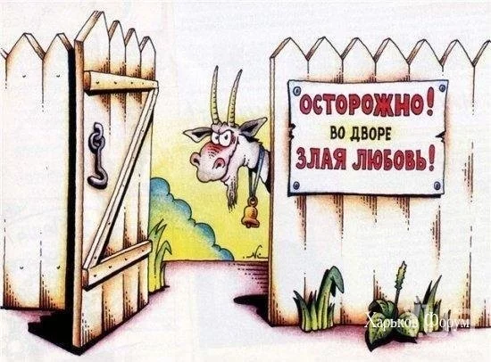 104a0e51f4b23cea5945.webp
