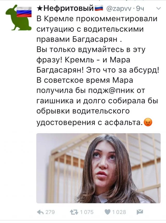 10567204.webp