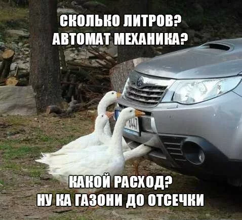 10584009.webp