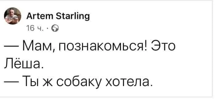 105894ac07ab1c16d8cb.webp