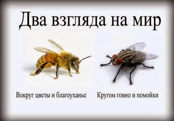 10593181_622688597844231_6185819681848359464_n.webp