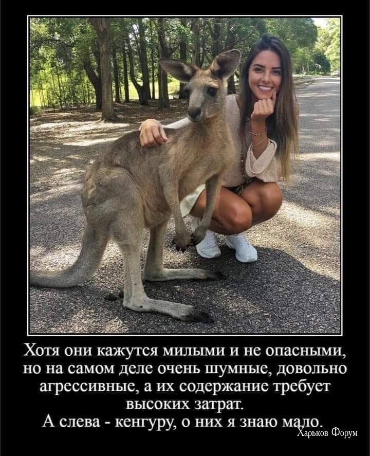 105b4c8c0adb2be60cc7a05.jpg