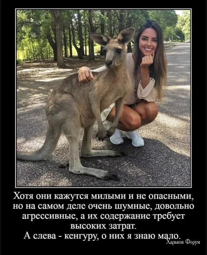 105b4c8c0adb2be60cc7a05.webp