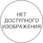 1068303.webp