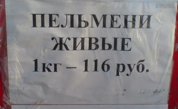 10772618.webp
