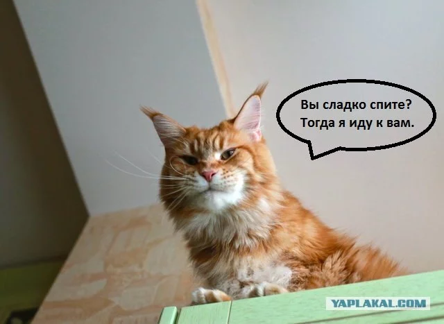 1078664.webp