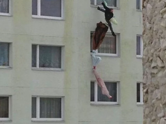 10826016.webp