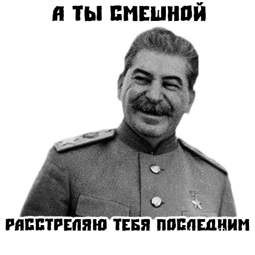 1088a072fed76068b047061.png