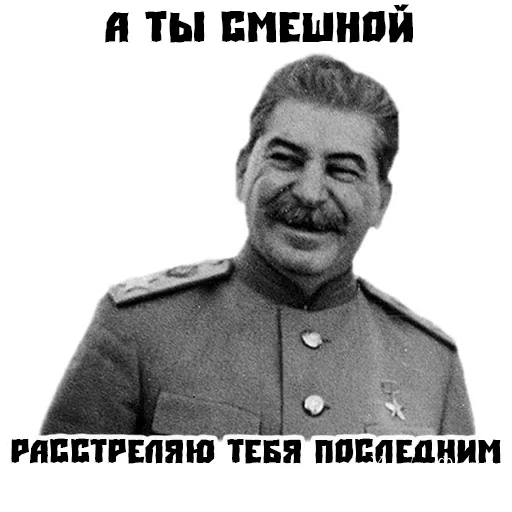 1088a072fed76068b047061.webp