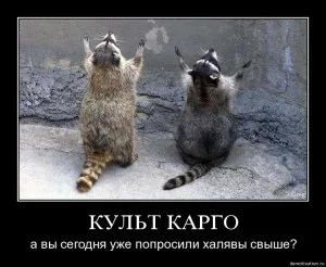 108953_300.webp