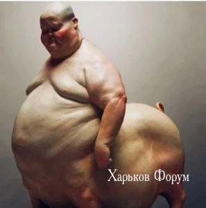 1089a5e7c118654430a2b.webp