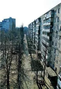 109343-thumb.webp