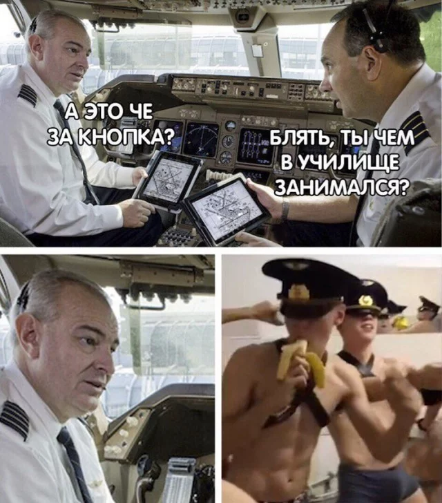 10950066.webp