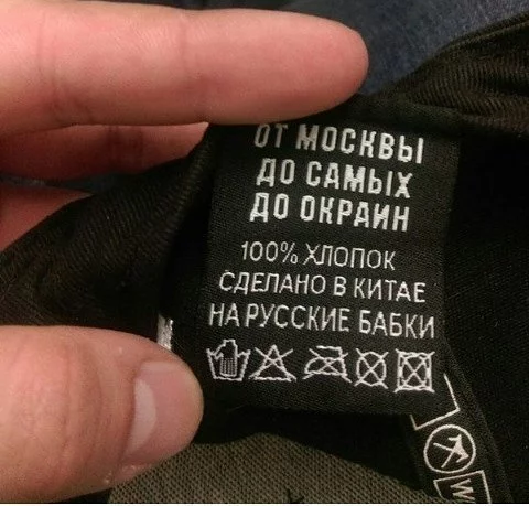 10958073.webp
