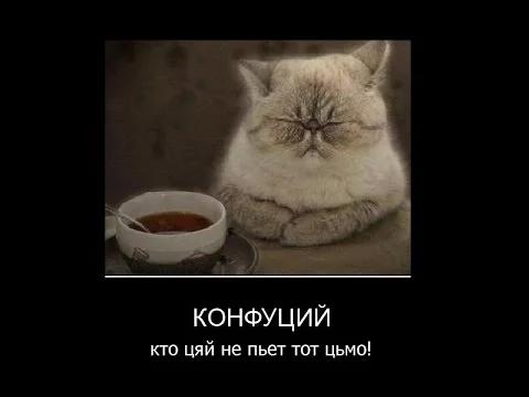 10964429.webp