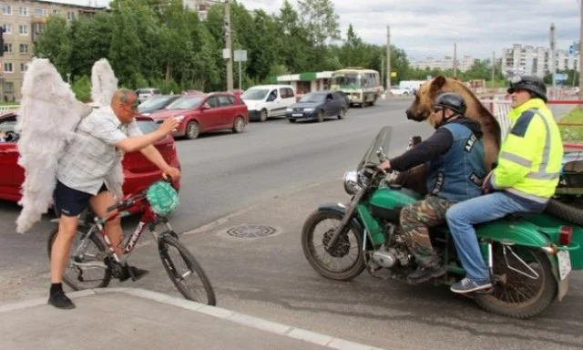 10968869.webp