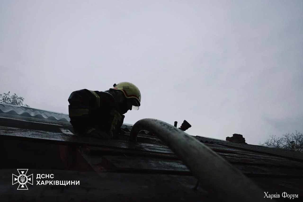 10_69049772bed43.webp 10_69049772bed43.webp