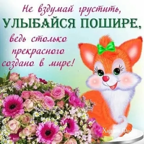 10a7de9a3f3c066ccbfa4b09.webp