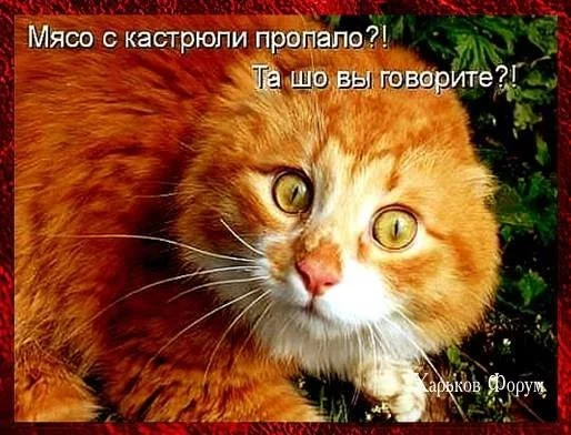 10b1e0bdf38f4d2a2.webp