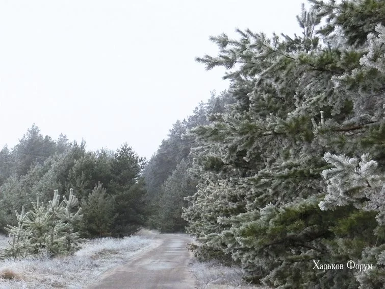 10c01527cf5a48ab2f.webp