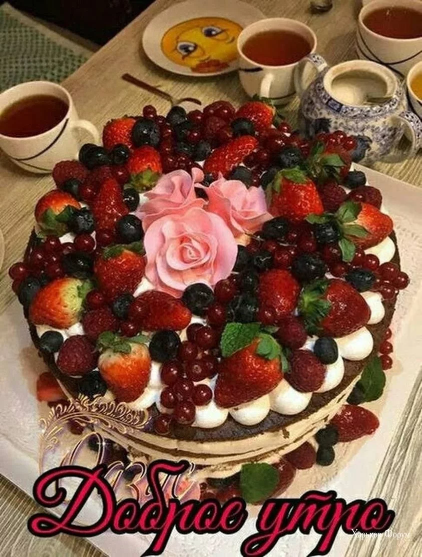 10ead63b5bb05b61dd637.webp