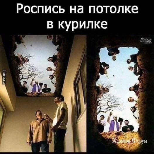 10eb3786507b3de8ee755.webp