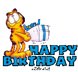 11.gif
