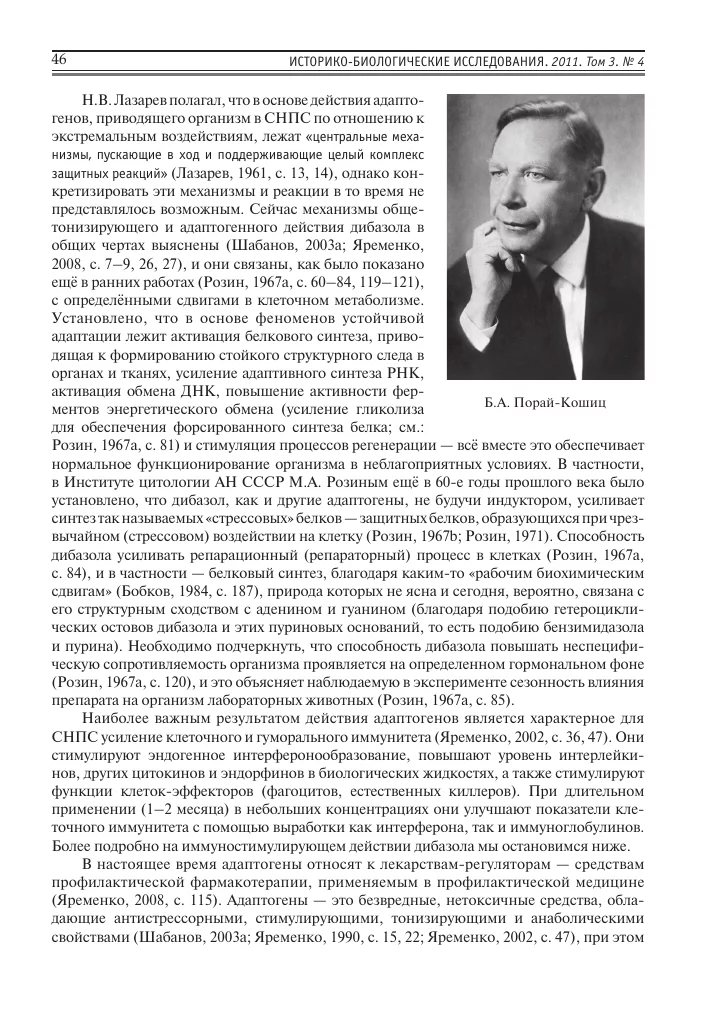 11.webp