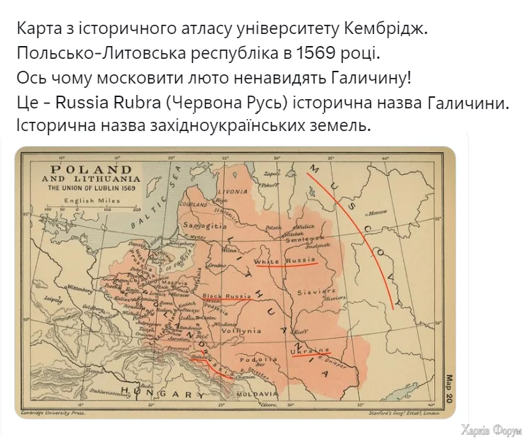 11.webp