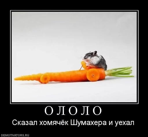 110088_o-l-o-l-o.webp