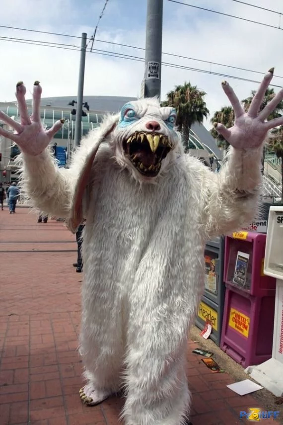 11037_900.webp