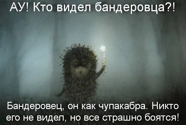 110676721_banderovec.webp
