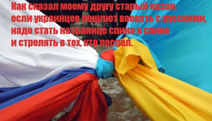110744633_getImage.jpg