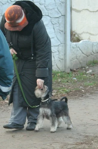 11080502475_feb629b612.webp