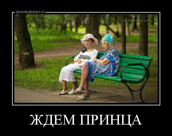 1109131309487869.webp